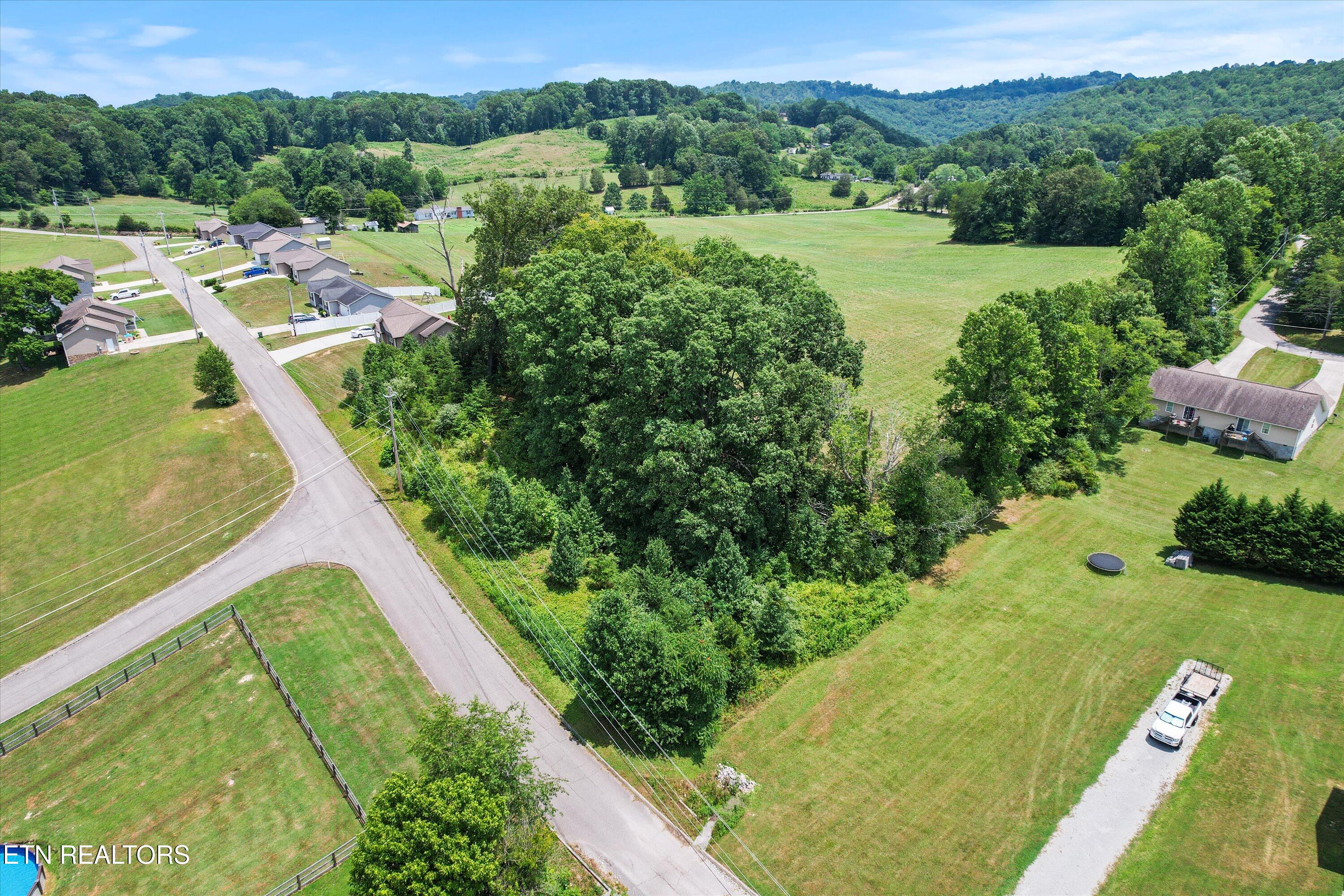Storm Lane Jacksboro, TN 37757 - Photo 3 of 16 03-DJI_0010_1