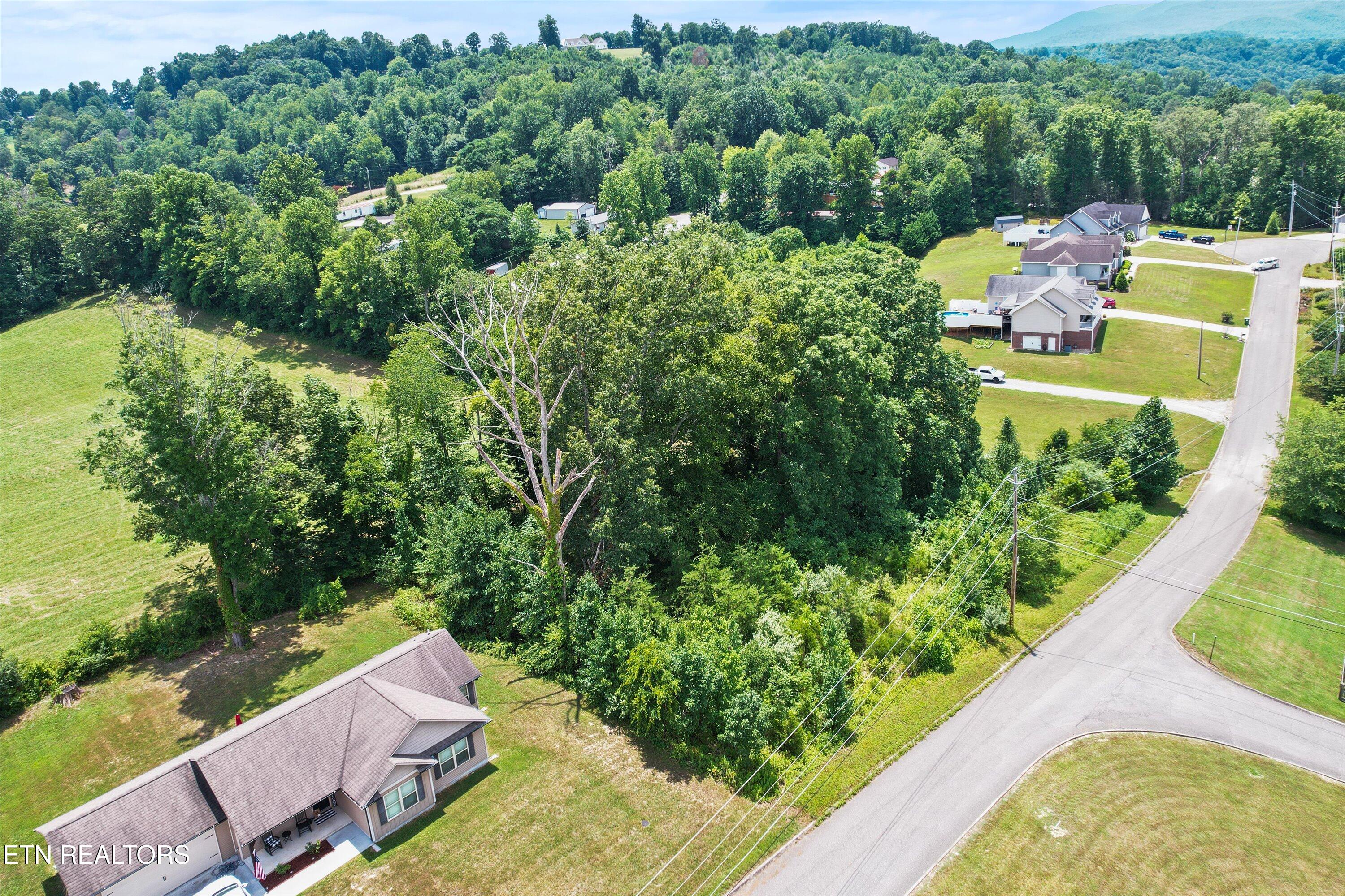 Storm Lane Jacksboro, TN 37757 - Photo 4 of 16 04-DJI_0015_1