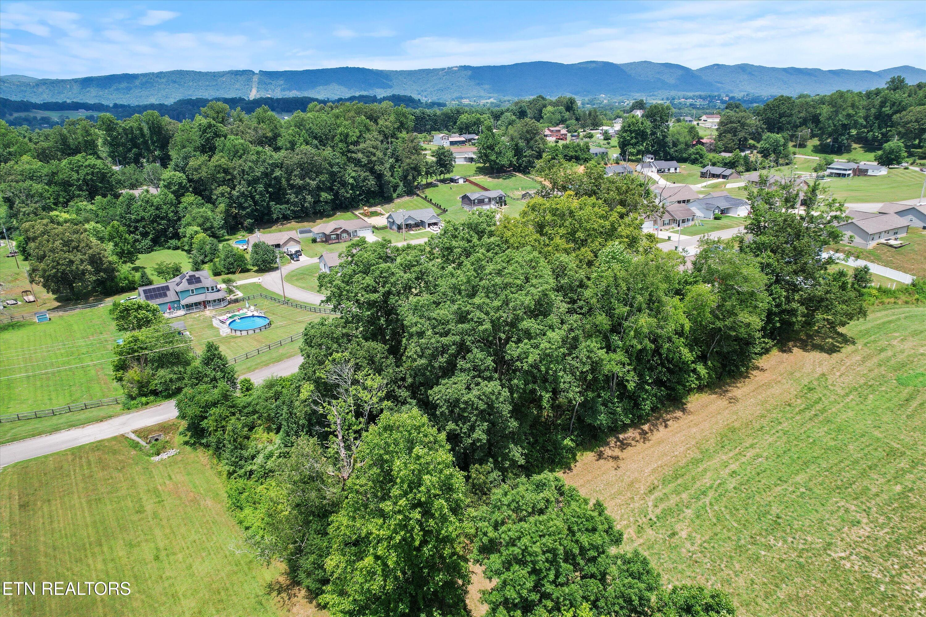 Storm Lane Jacksboro, TN 37757 - Photo 6 of 16 06-DJI_0021_1