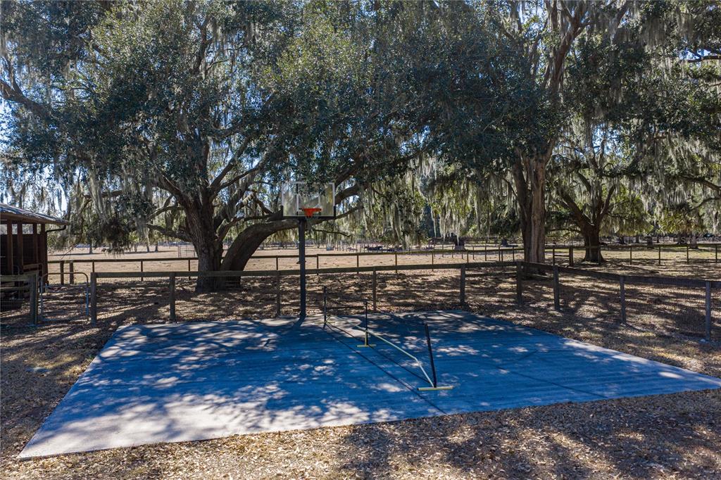 808 Old Welcome Road Lithia, FL 33547 - Photo 51 of 92 Gallery Image 51
