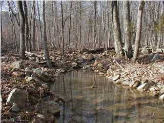 29 Blue Sewanee Road Dunlap, TN 37327 - Photo 2 of 2 Additional Photo