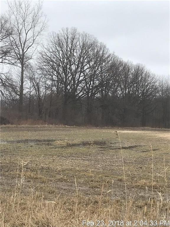 V/l Clark Road New Boston, MI 48164 - Photo 2 of 3