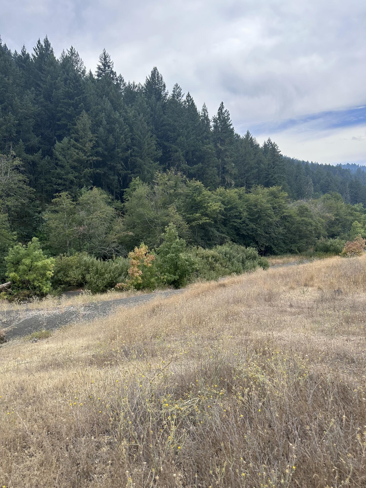 0 River Road Miranda, CA 95553 - Photo 19 of 31