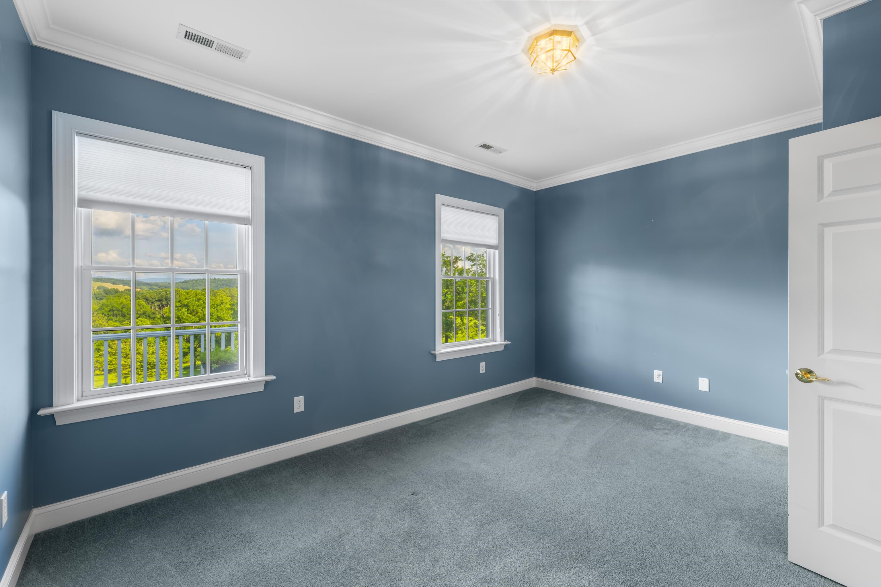 296 Otts Ml Road Raphine, VA 24472 - Photo 50 of 75