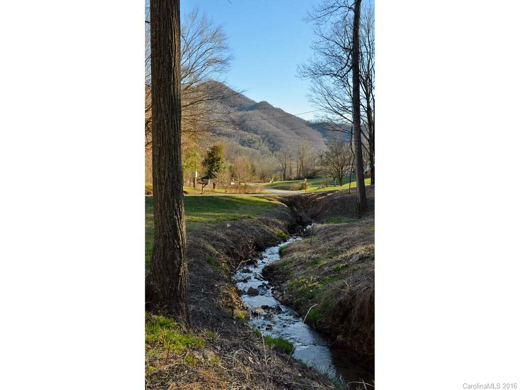 64 Maney Branch Road Weaverville, NC 28787 - Photo 18 of 19 Gallery Image 18