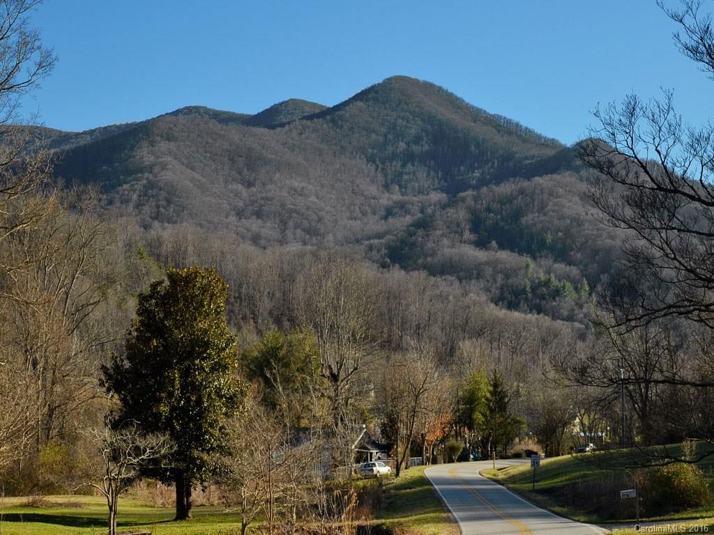64 Maney Branch Road Weaverville, NC 28787 - Photo 19 of 19 Gallery Image 19