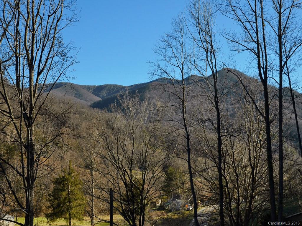 64 Maney Branch Road Weaverville, NC 28787 - Photo 3 of 19 Gallery Image 3
