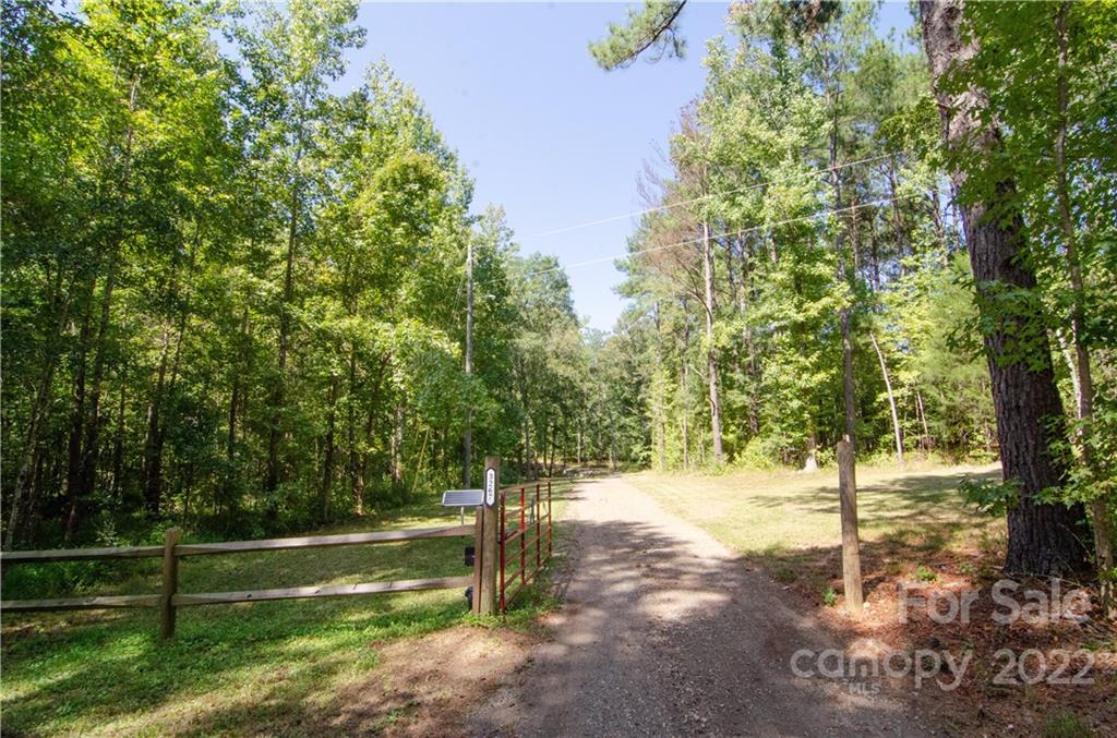 3267 Park Road Ridgeway, SC 29130 - Photo 37 of 40 a view of yard with tree