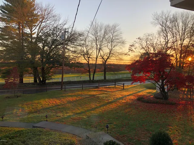 a view of a yard with swimming pool and trees
