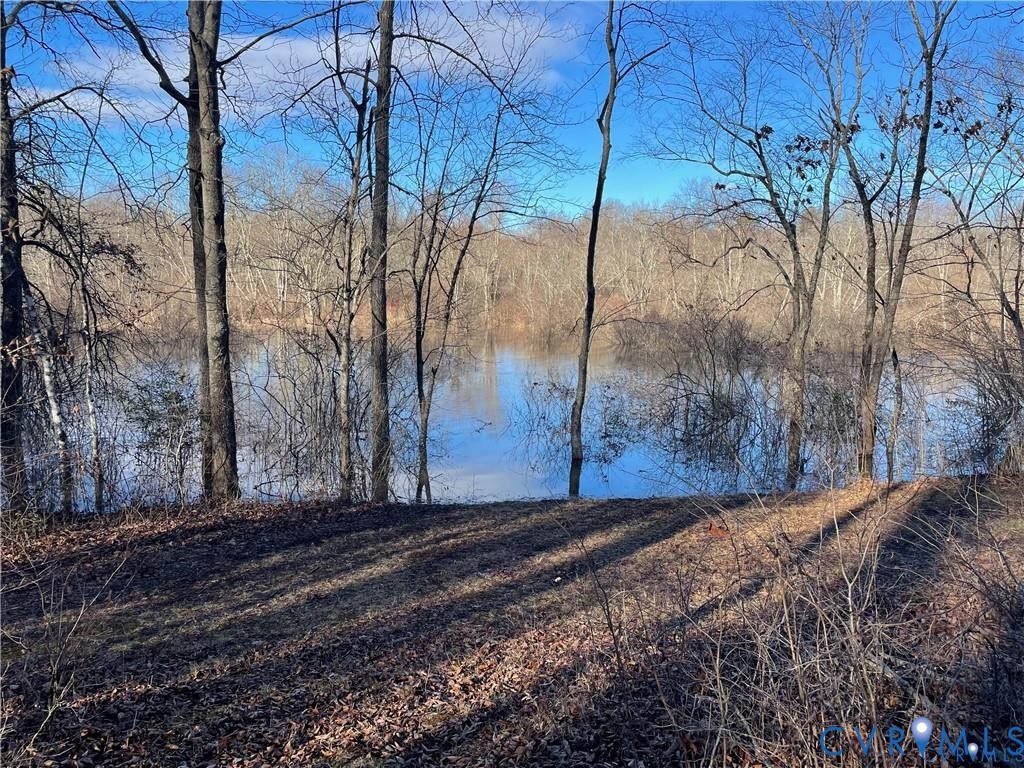 14430 Overlook Ridge Lane Beaverdam, VA 23015 - Photo 65 of 71 a view of a yard