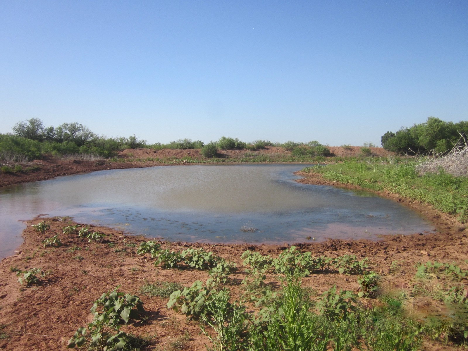 Nka Buckle L Road Childress, TX 79201 - Photo 14 of 18