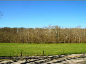 7250 South Breeden Road Bloomington, IN 47403 - Photo 21 of 24 Gallery Image 21