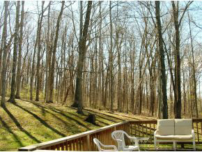 7250 South Breeden Road Bloomington, IN 47403 - Photo 24 of 24 Gallery Image 24