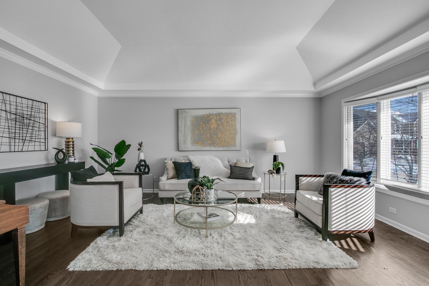 3700 Monarch Circle Naperville, IL 60564 - Photo 4 of 48