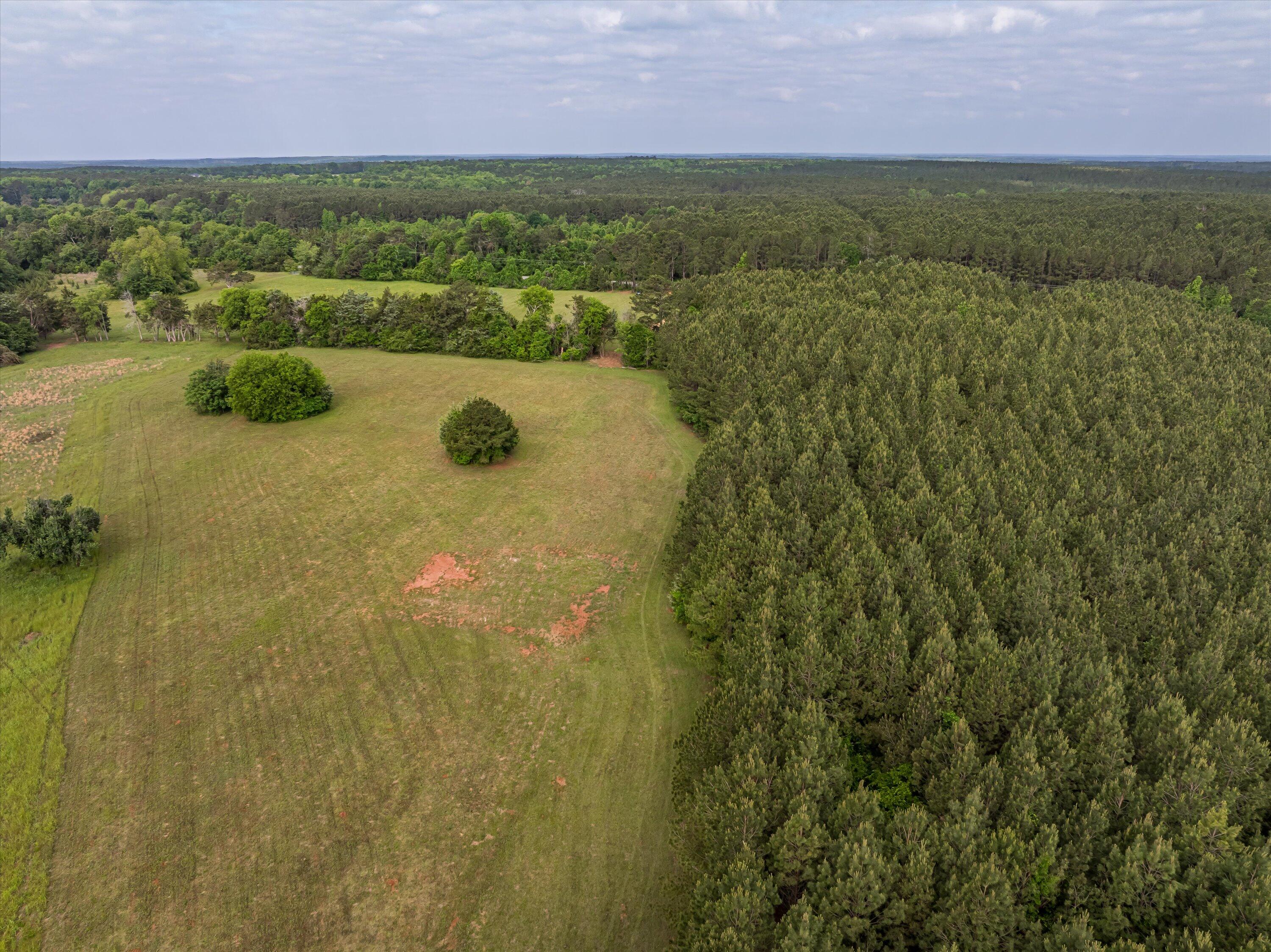 5740 Cobbham Road Appling, GA 30802 - Photo 14 of 29 44-Lot 1_20