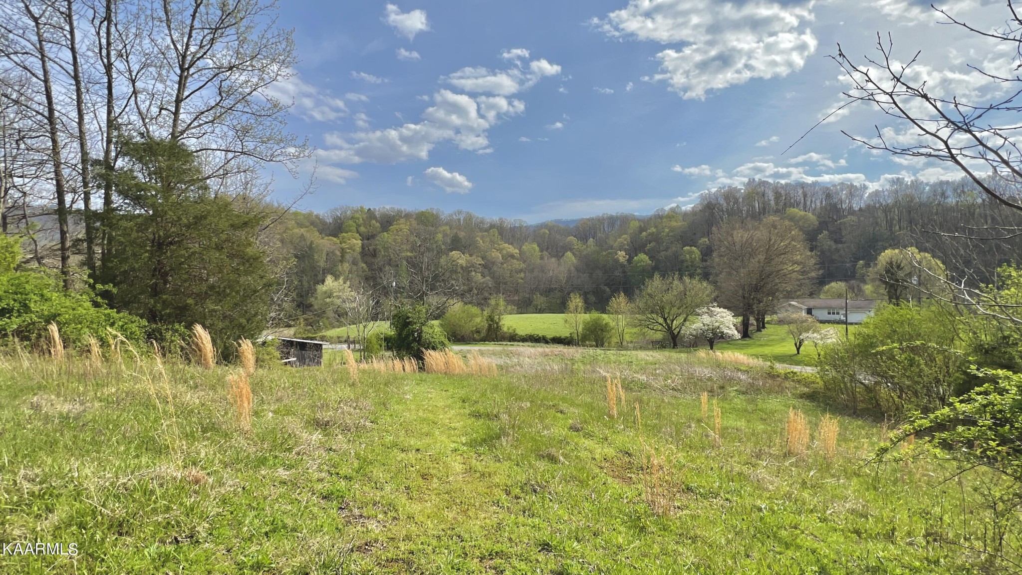 1560 Dripping Springs Road Seymour, TN 37865 - Photo 21 of 46