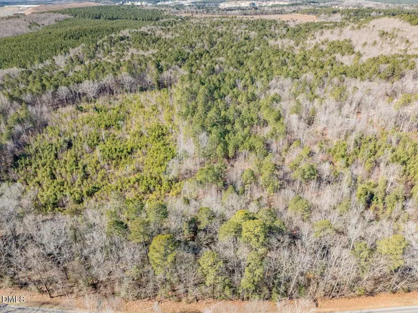 a view of a forest with a yard