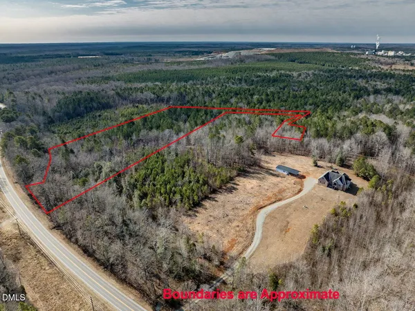 a close up of a plant