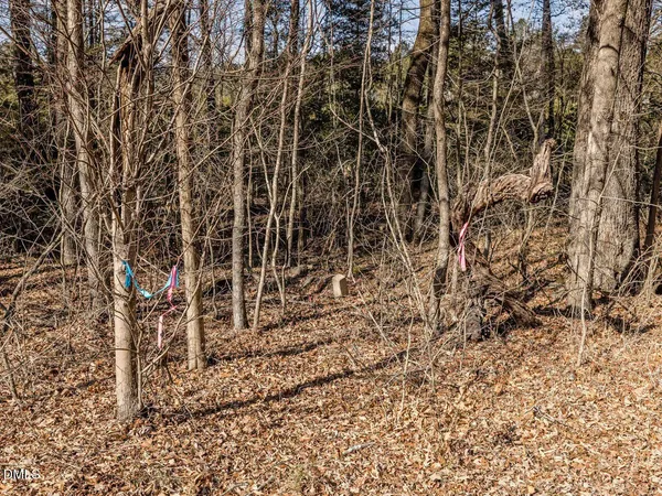 a view of residential houses with lake view