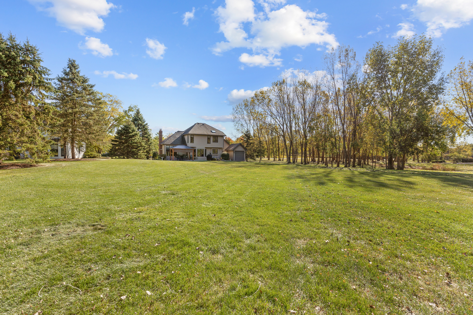 10317 Ridge Lane Huntley, IL 60142 - Photo 39 of 42 a view of yard with tree and green space