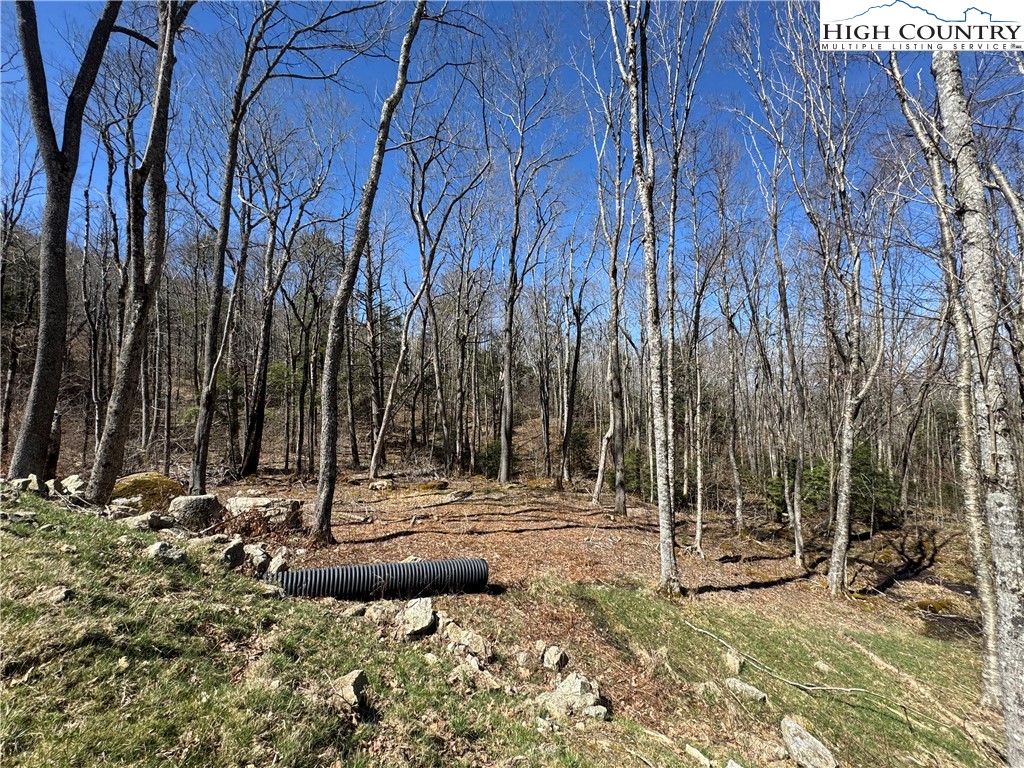 Es71 Es71 Twisted Oak Path Banner Elk, NC 28604 - Photo 24 of 36 a view of a fire pit with large trees