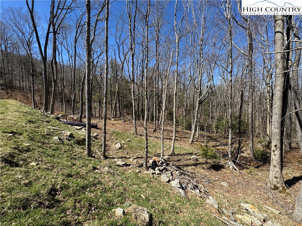 Es71 Es71 Twisted Oak Path Banner Elk, NC 28604 - Photo 4 of 36 a view of under construction area