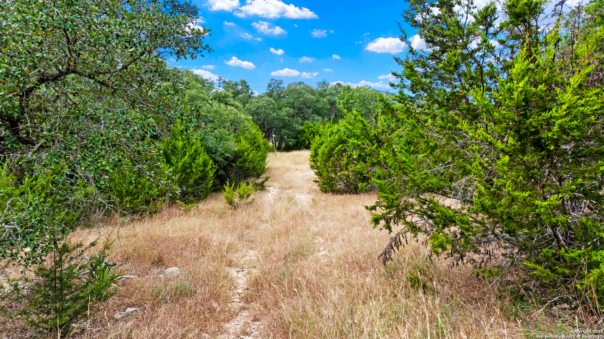 32311 Koch Road Bulverde, TX 78163 - Photo 11 of 14