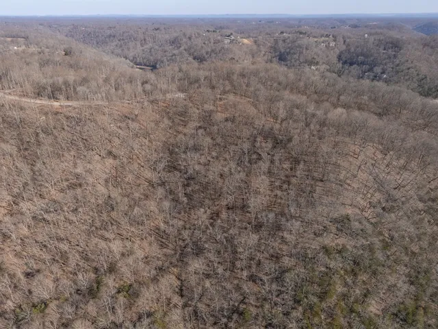 $145,999 | 0 Back Ranch Drive, Silver Point, TN 38582