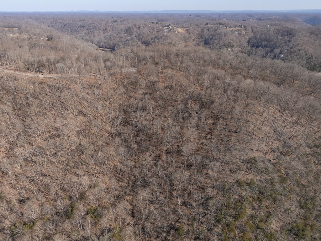 0 Back Ranch Drive Silver Point, TN 38582 - Photo 12 of 14