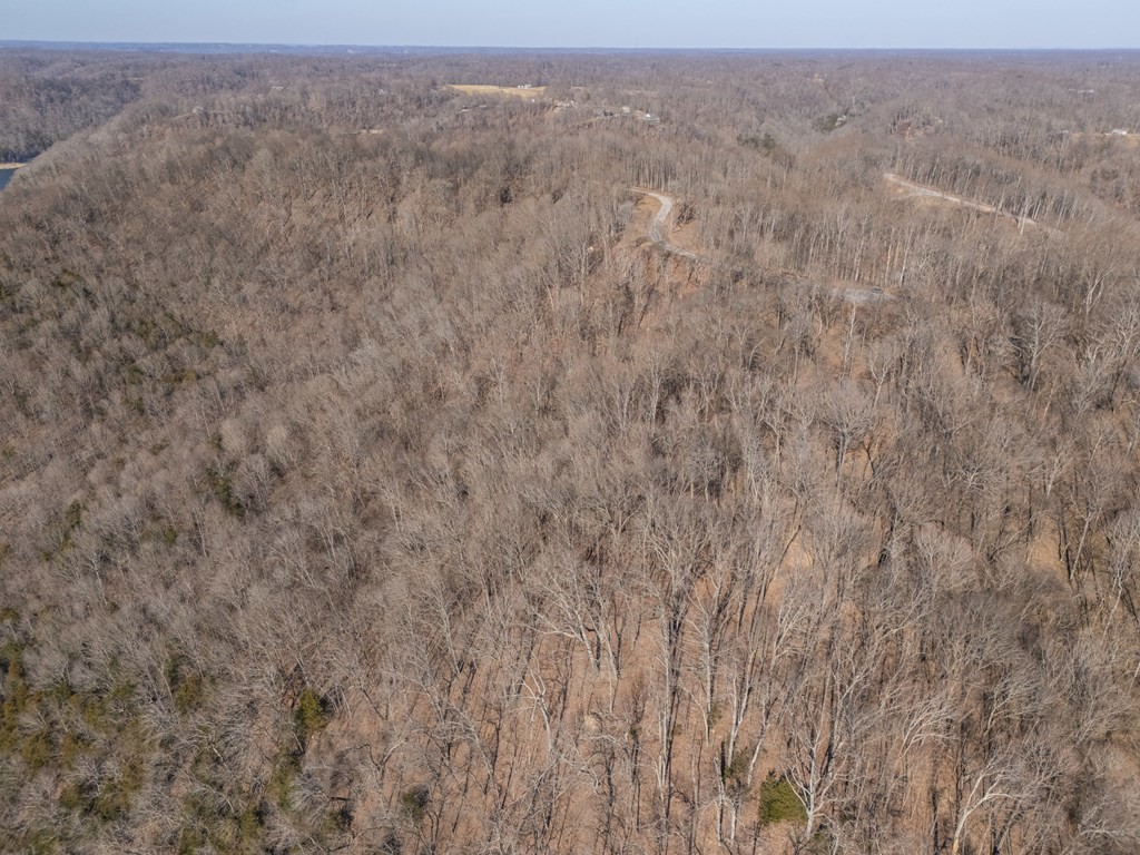 0 Back Ranch Drive Silver Point, TN 38582 - Photo 13 of 14