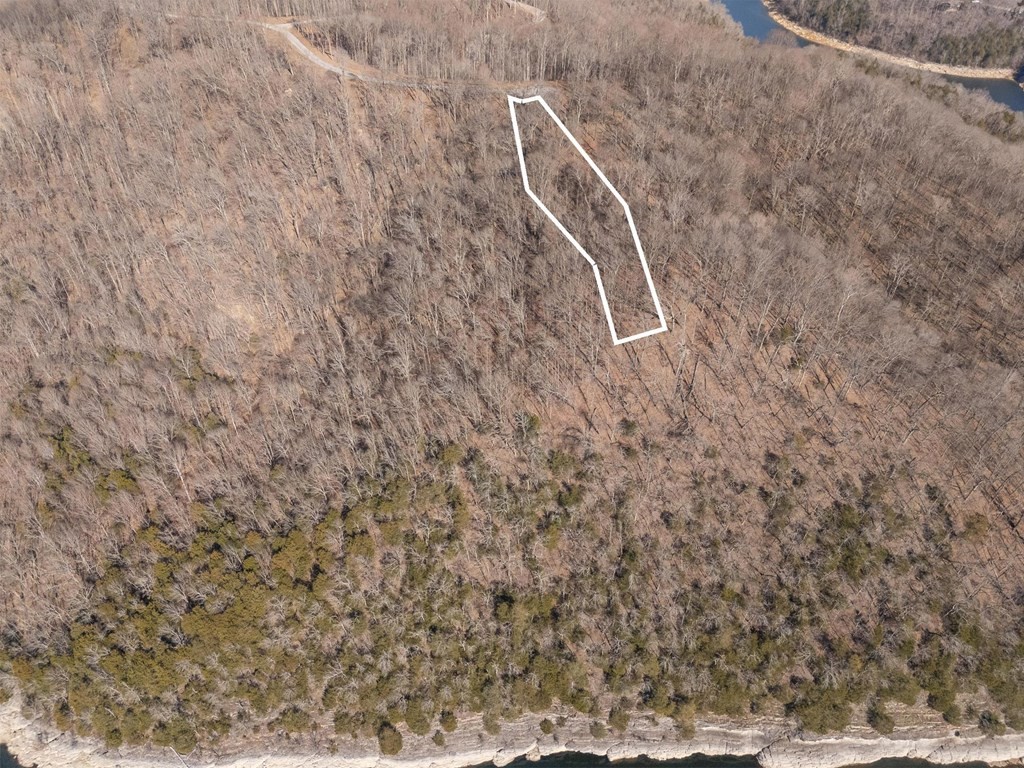 0 Back Ranch Drive Silver Point, TN 38582 - Photo 6 of 14