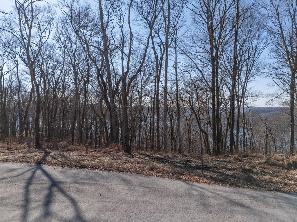 0 Back Ranch Drive Silver Point, TN 38582 - Photo 7 of 14