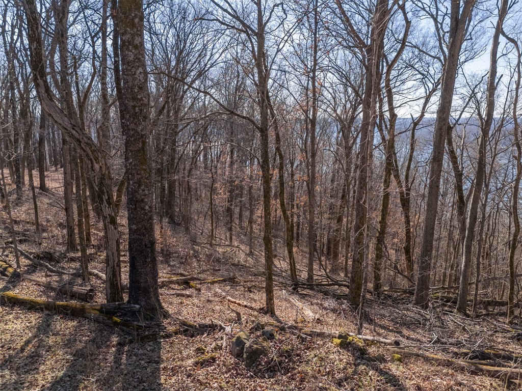 0 Back Ranch Drive Silver Point, TN 38582 - Photo 8 of 14