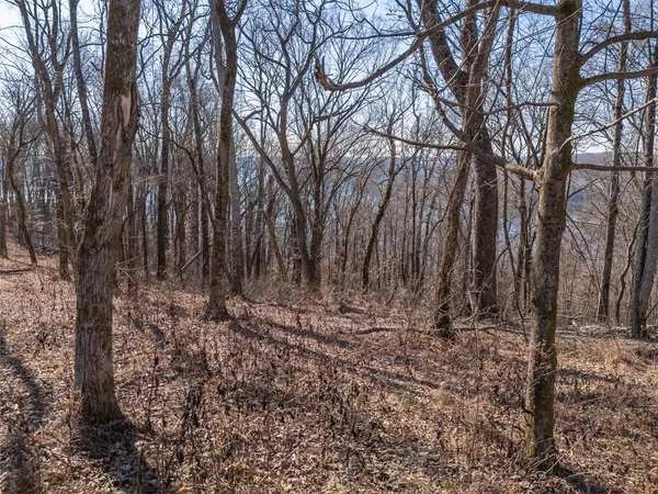 $145,999 | 0 Back Ranch Drive, Silver Point, TN 38582