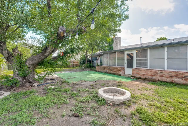 a view of a backyard with a barbeque grill and a large tree