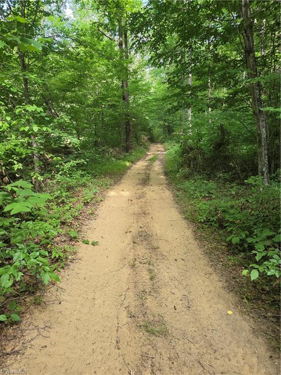 Xx 31.85-ac Xx 31.85-ac Hampton Road Germanton, NC 27019 - Photo 13 of 33
