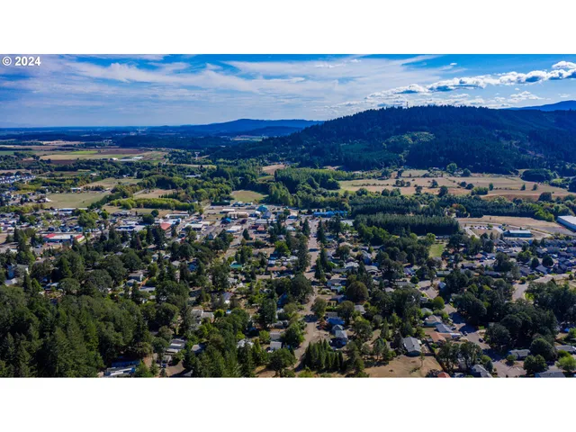 a view of city and mountain