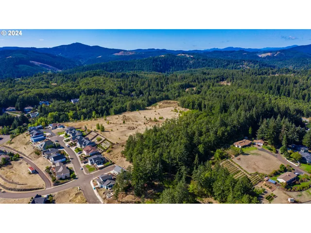 a view of city and mountain