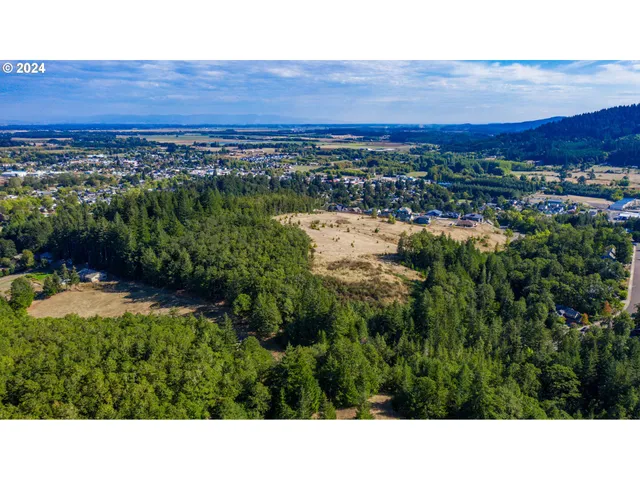 a view of a lush green field