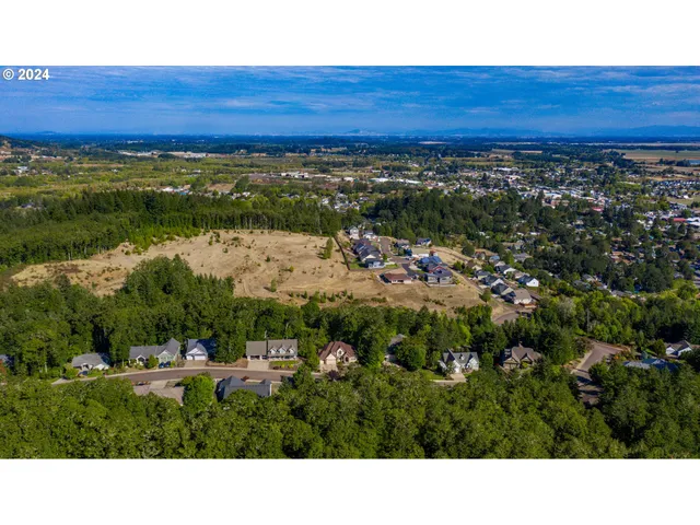 a black and white photo of a forest