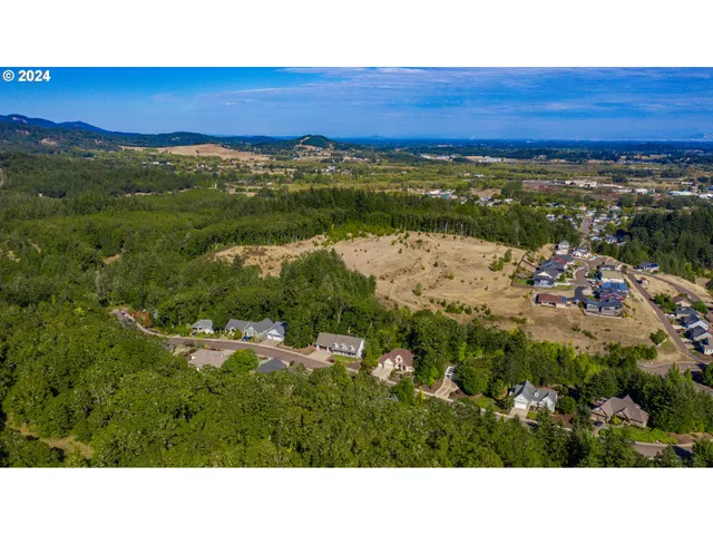 a view of a lush green field