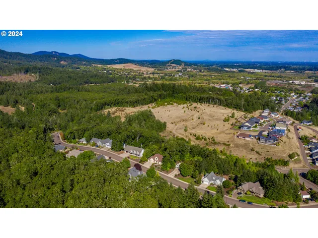 a view of a city with a mountain