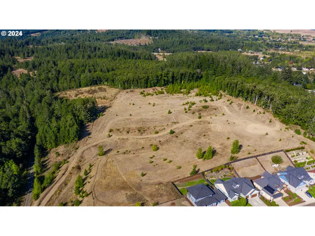 a open area with mountains in the background