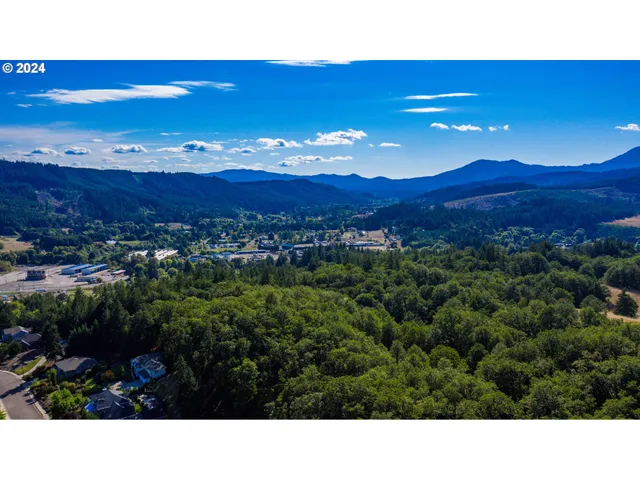 a view of a dry yard with wooden fence