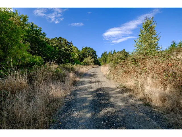 a view of a yard with sunset view