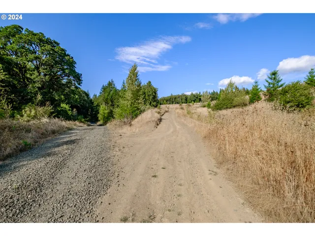 a view of dirt field with trees in background