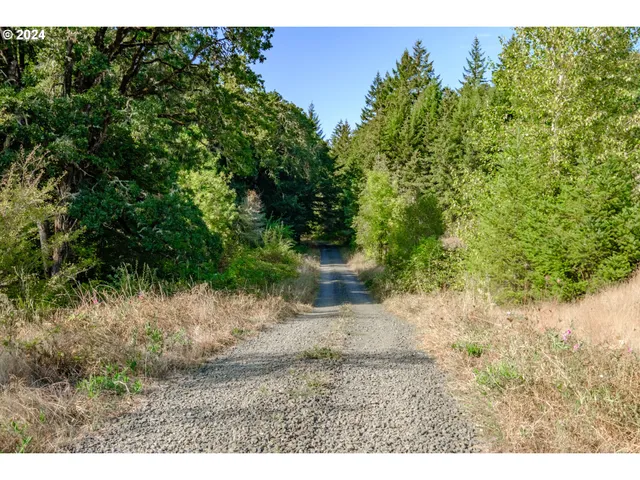 a view of a field with trees in background