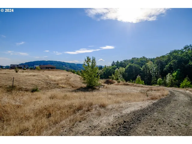 a view of a yard with an trees