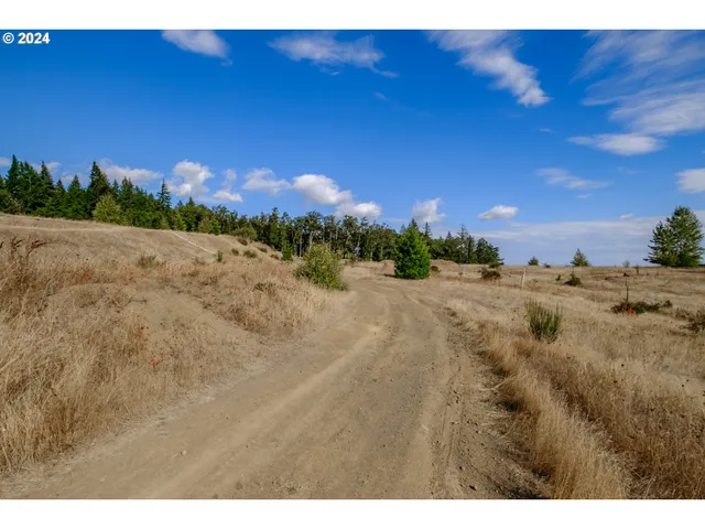 a view of a dry yard