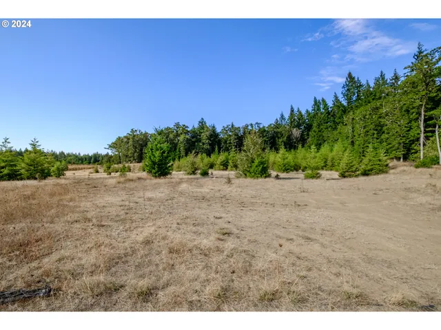 a view of a large yard with lots of green space